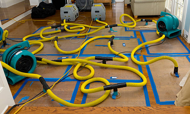 Professional Crawl Space Water Removal technician working in Westphalia, MI